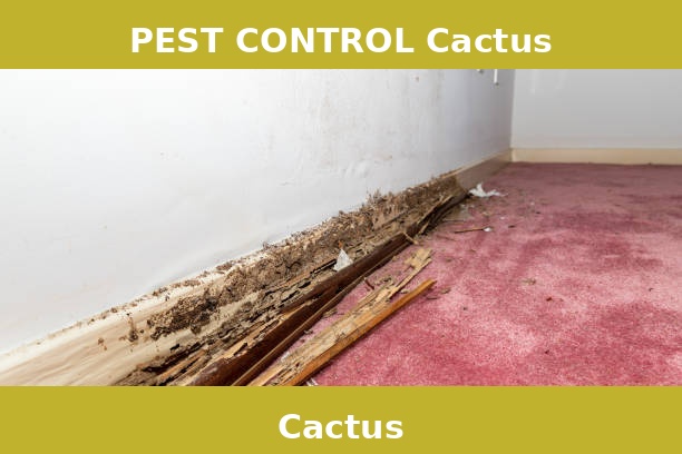 PEST CONTROL Cactus